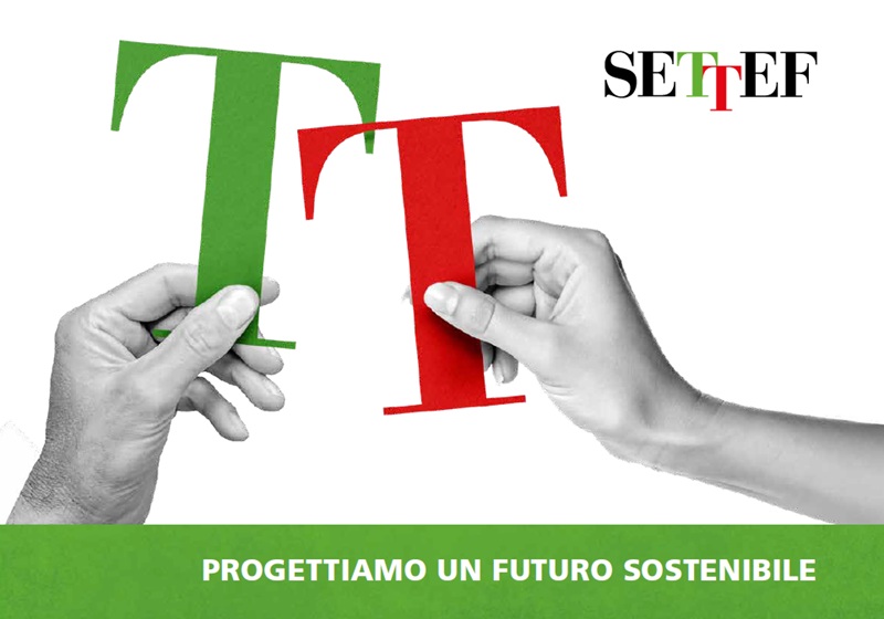 settef company profile